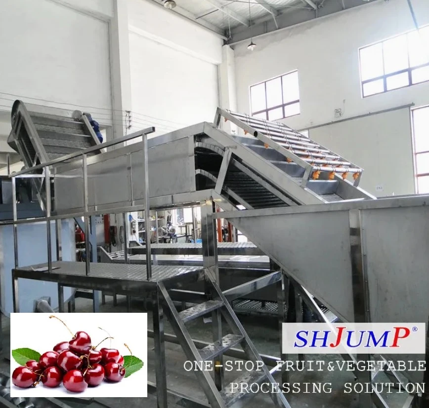Cherry wash machine