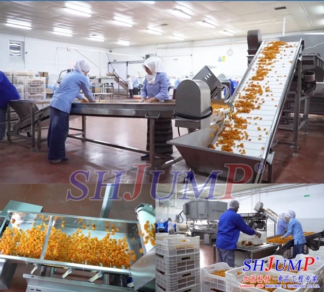dried apricot3 dried apricot3
