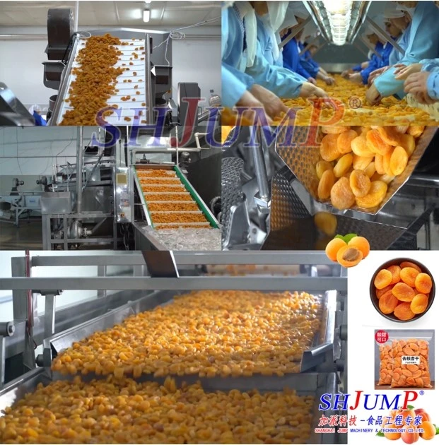 dried apricot4 dried apricot4